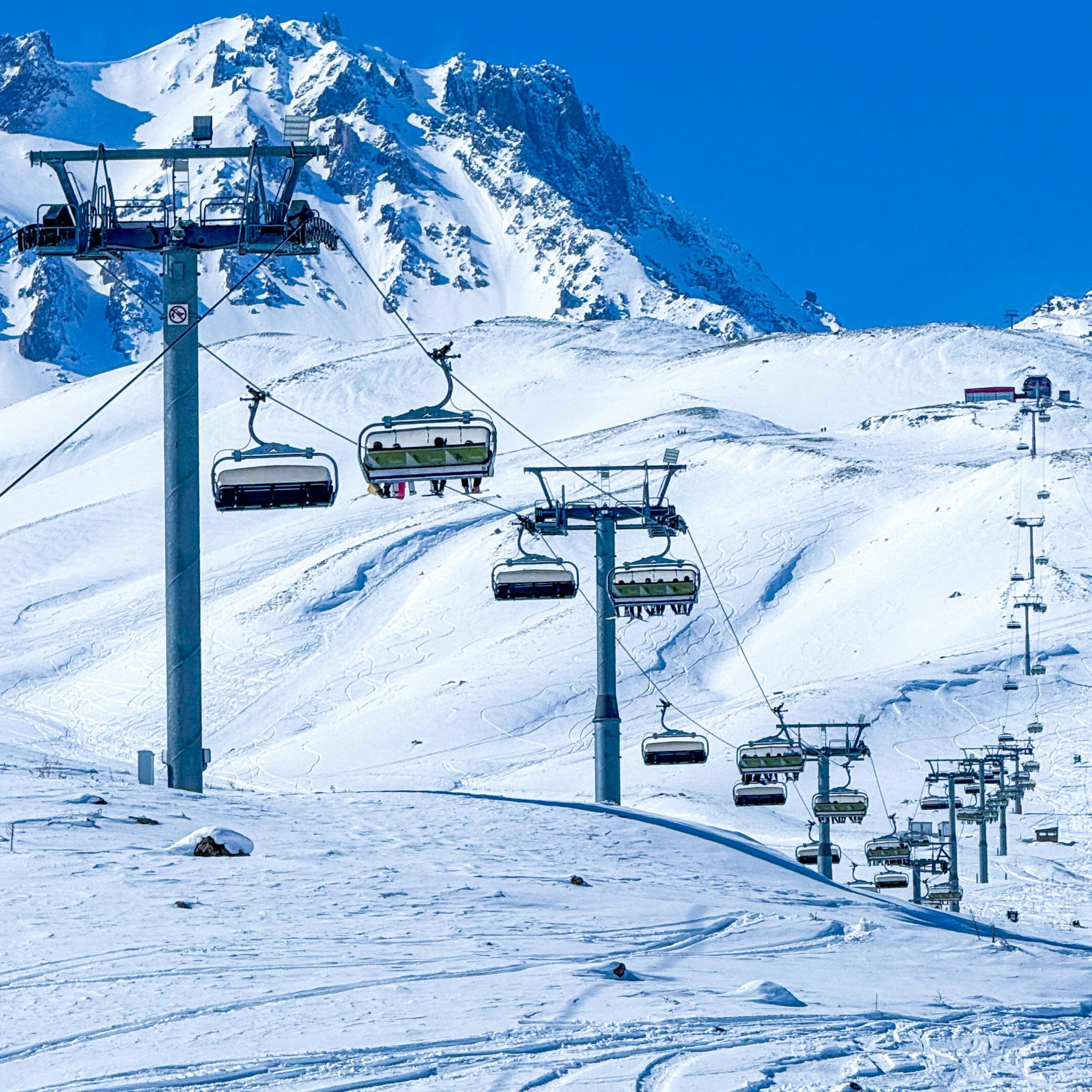pexels-gozde-vanli-1724169593-30752575